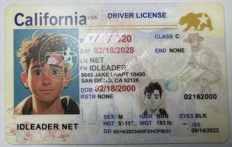 Illinois driver's license - Image 9