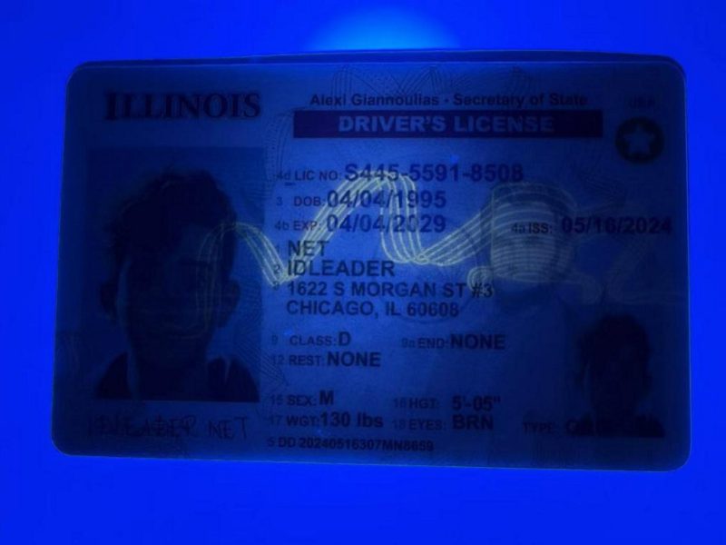 Illinois driver's license - Image 2